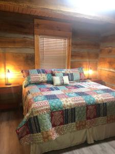 a bedroom with a bed in a room with wooden walls at Lookout Mtn cabin with a view in Rising Fawn