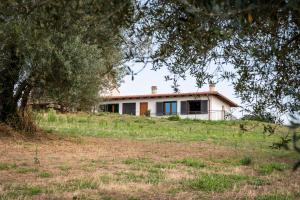 una casa in mezzo a un campo con un albero di La Tuscia da Quassù a Montefiascone