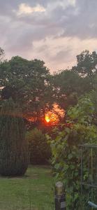 a sunset in a yard with trees and a fence at Chambre Étape Carosselle in Saint-Vaury