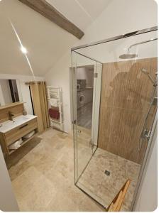 a bathroom with a glass shower and a sink at L'appartement Tranquille in Maincy