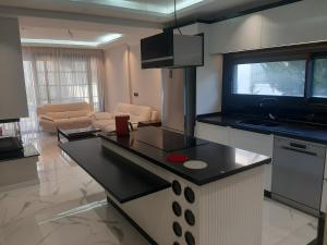 una cucina e un soggiorno con un piano di lavoro e un divano di Villa Vogue 
