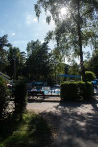 a picnic table in a park with the sun shining at 't Veluws Nest - Knus Chalet Veluwe - Hoenderloo, Honden welkom in Hoenderloo