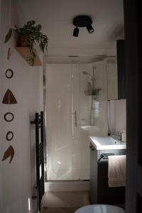 a bathroom with a shower and a toilet and a sink at 't Veluws Nest - Knus Chalet Veluwe - Hoenderloo, Honden welkom in Hoenderloo