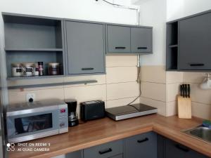 a kitchen with a counter top with a microwave at Apartament Marzenie in Kowary