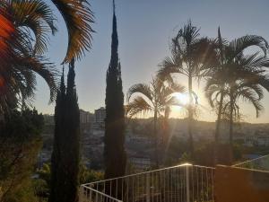 a group of palm trees in front of the sun at Lopez Village GuestHouse in Serra Negra