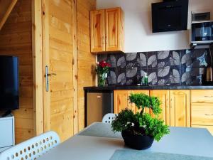 a kitchen with a table and chairs and a tv at Comfortable holiday homes with terraces in Przewłoka