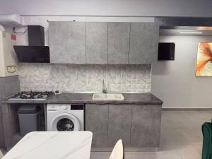 a kitchen with a sink and a washing machine at Sipotul Apelor in Domneşti