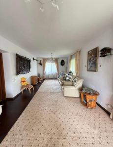 a living room with a couch and a rug at Комфортний будинок для сімейного відпочинку в Ржищеві in Rzhyshchiv +7 photos