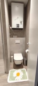 Ένα μπάνιο στο Daisy Apart SKI OUT SKI IN Vila Bela Reka Brzece +30 φωτογραφίες