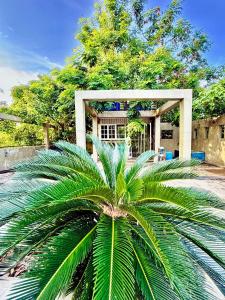 Κήπος έξω από το Green Canopy Mini Villa