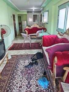 a living room with red couches and a rug at Enjoy 2025 in Alexandria