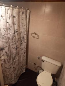 un bagno con un water e una tenda da doccia di Cabañas Diamante a Gualeguaychú