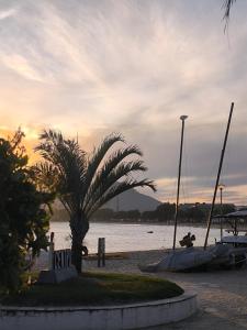 a palm tree on a beach with boats in the water at Casa Praia do Centro Rio das Ostras 1 in Rio das Ostras