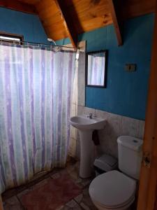 un baño con inodoro y lavabo en Cabañas con Tinaja en Choshuenco, en Choshuenco
