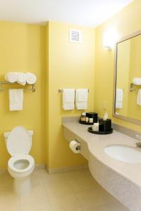 タスカルーサにあるAmbassador Inn & Suites Tuscaloosa University I-20のトイレと洗面台付きのバスルーム