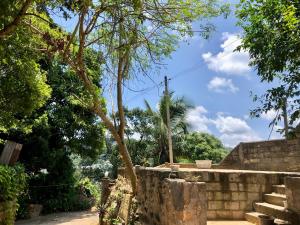 a stone wall with a tree and some trees at Ku'Vana Hostel Kandy in Kandy +21 photos