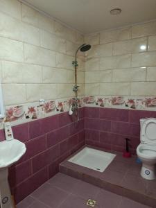 a bathroom with a toilet and a sink at Appartement en bord de mer 3 chambres in Tizouiar