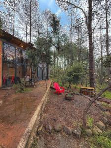 a yard with a red chair and a house at Cozy cabin in the woods with a wooden tub in Huasca de Ocampo
