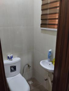 a small bathroom with a toilet and a sink at JeoLola in Ankuru