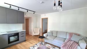 Una sala de estar con un sofá y una cocina. en Cozy Tartu Apple Garden with Terrace, en Tartu 9 fotos más