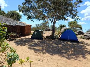 a group of tents in the dirt under a tree at Ecocamping Okaeté in Buíque