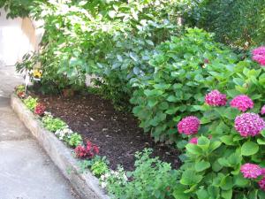 a garden with pink flowers and green plants at Apartment Sea Garden in Ičići