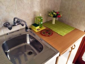 a kitchen counter with a sink and a vase of flowers at Apartments Pavić in Betina +25 photos