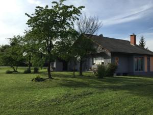 a house with a tree in front of a yard at Guest House Šempeter in Šempeter v Savinjski Dolini