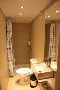 uma casa de banho com um WC, um lavatório e um espelho. em Keros Apartments em Kalliópi