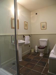 a bathroom with a toilet and a sink at Magherintemple Lodge in Ballycastle