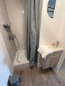a bathroom with a shower and a sink at Le cœur de ville in Thonon-les-Bains