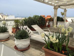 eine Terrasse mit Topfpflanzen und einem weißen Stuhl auf dem Dach in der Unterkunft Palazzo Dei Gesuiti in Monopoli