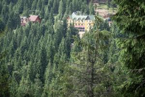 a building on the side of a hill with trees at Haus am Berg in Vartop