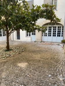 a tree in front of a building with a garage at Pézenas in Pézenas