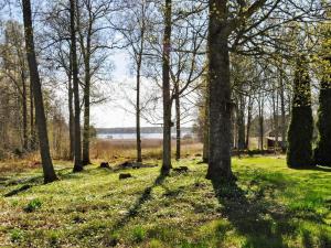 Příroda nedaleko prázdninového domu