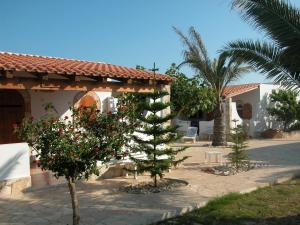 a house with a pine tree in front of a yard at Le Anfore Villette in Lampedusa