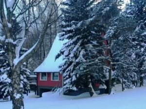 a red cabin in the snow next to trees at House in Bohemian near Ski Slope in Mezihoří
