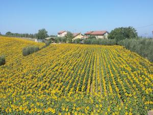 Příroda nedaleko prázdninového domu