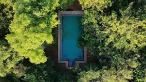 an overhead view of a swimming pool in the middle of a forest at Sigiriya Elephant Villa in Sigiriya