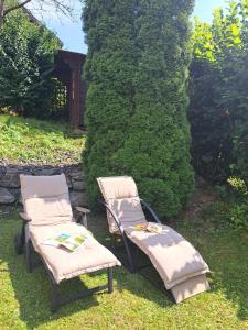 a couple of chairs sitting in the grass at Ferienoase Berg & See in Feldkirchen in Kärnten