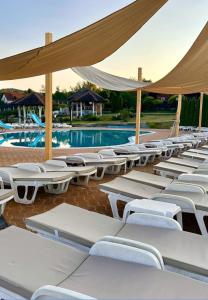 a row of lounge chairs next to a swimming pool at Vila Aleksandar in Orašac