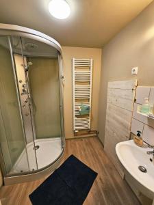 a bathroom with a shower and a sink at Hostel pod gradom in Celje