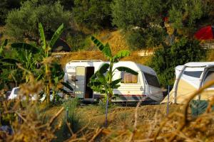 Billede fra billedgalleriet på Blue Camping in Borsh, Vlorë i Borsh + 4 billeder