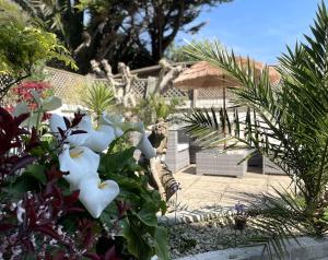 a garden with a statue of a tiger and flowers at KIRA Beach Apartment, Hove Beach in Hove