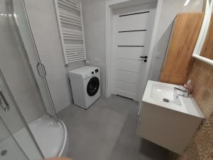 bagno con servizi igienici, lavandino e lavatrice di Apartamenty Idea Centrum Studio z miejscem parkingowym a Radom