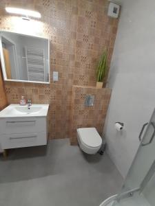 un bagno con un water, un lavandino e uno specchio di Apartamenty Idea Centrum Studio z miejscem parkingowym a Radom Altre 8 foto