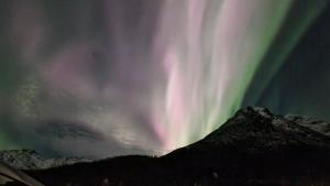Billede fra billedgalleriet på Villa panorama view Hessfjord i Karlsøy