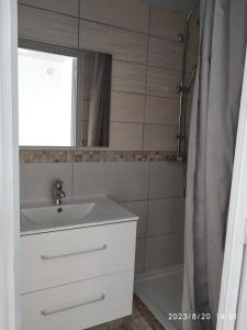 a bathroom with a sink and a shower at Changement d'air près du volcan in Le Tampon