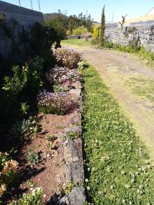 a garden with flowers on the side of a road at Changement d'air près du volcan in Le Tampon