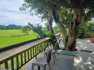 a porch with two chairs and a tree at Six Nature Resort in Chiang Rai